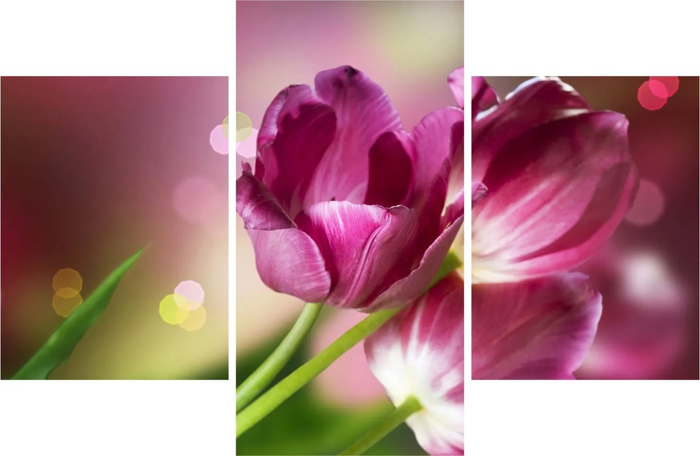 Rózsaszín tulipánok képe (90x60 cm)