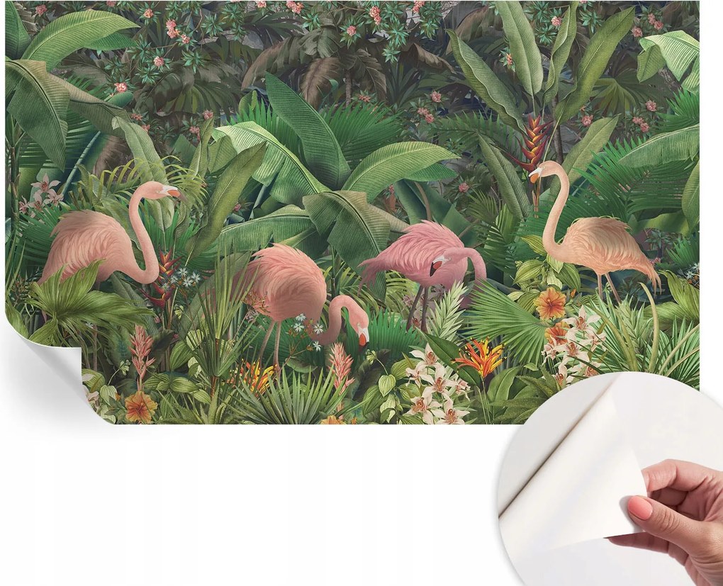 Fotótapéta Öntapadós Dekoratív tapéta Rózsaszín flamingók 416x254 cm