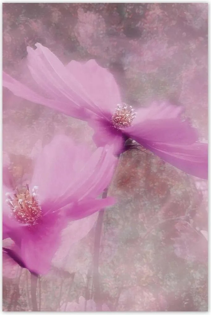 Poszterek 80x120 Nőnap Ajándék Love