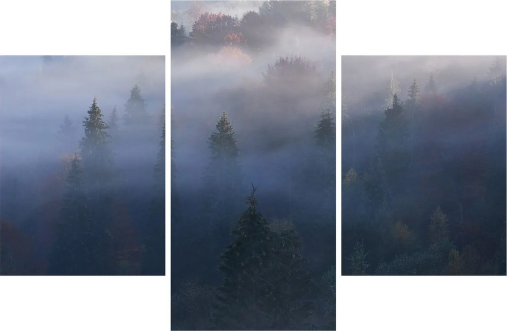 Kép - erdő a ködben, Carpathians, Ukraina (90x60 cm)