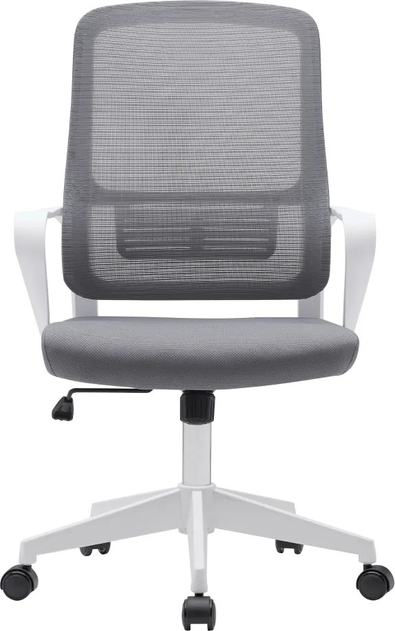 Irodai szék, szürke/fehér, SALOMO TYP 1