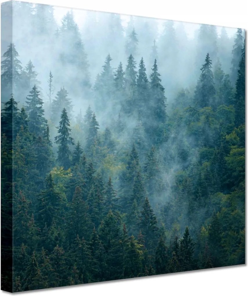 Vászonkép 20x20 Erdő a ködben Utazás