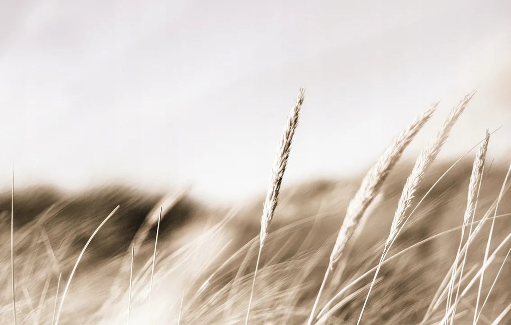 Fotótapéta 380x254 flizelin Boho #F074 #sf