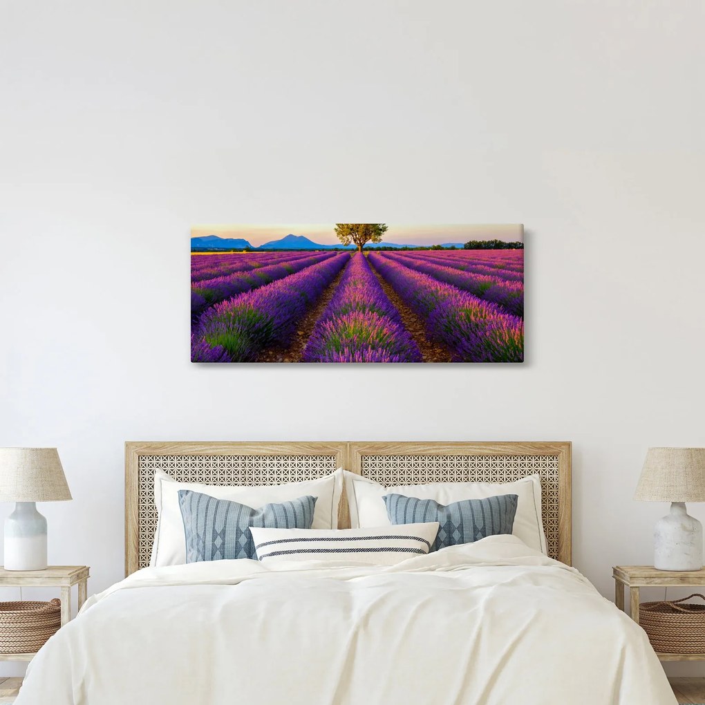 Kép - Levendula mező (120x50 cm)