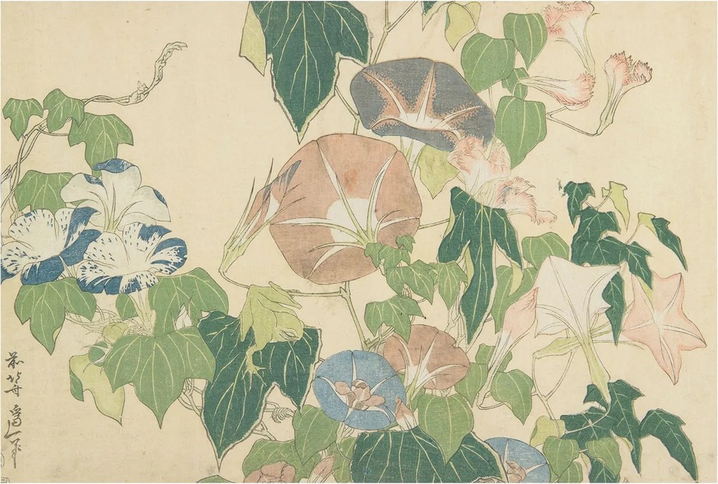 Fali fotótapéta Étkezőbe Virágos elegancia 104x70 Ragasztó