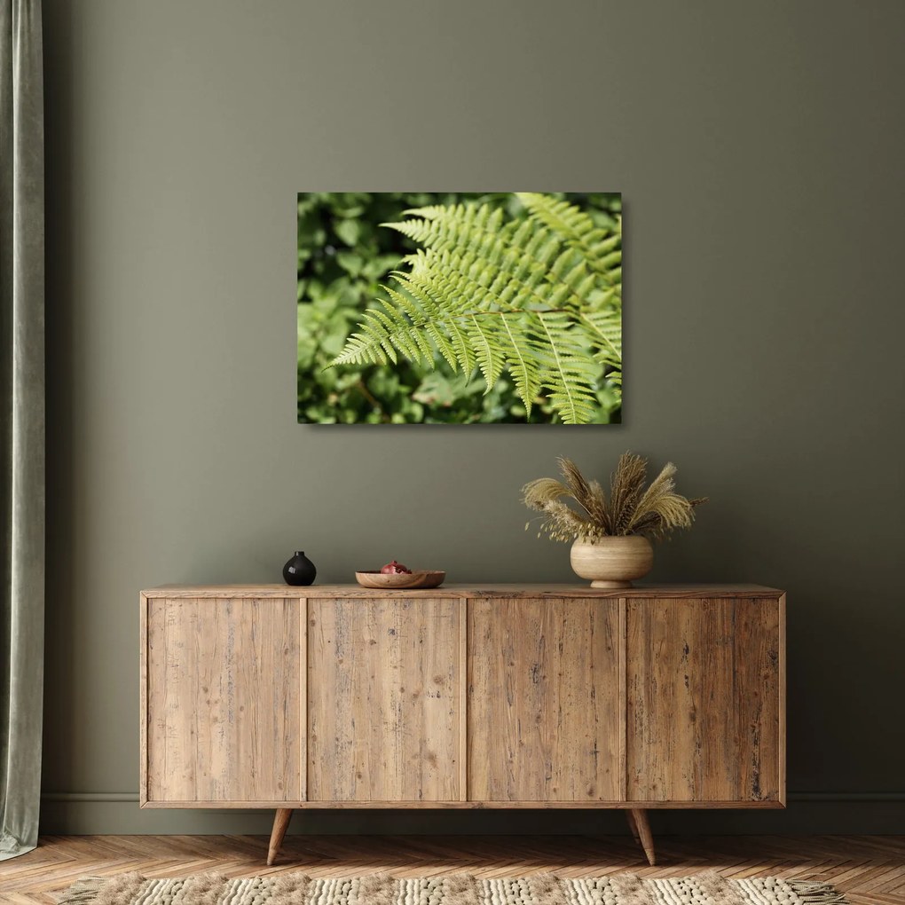 Üveg kép - Páfránylevél (70x50 cm)