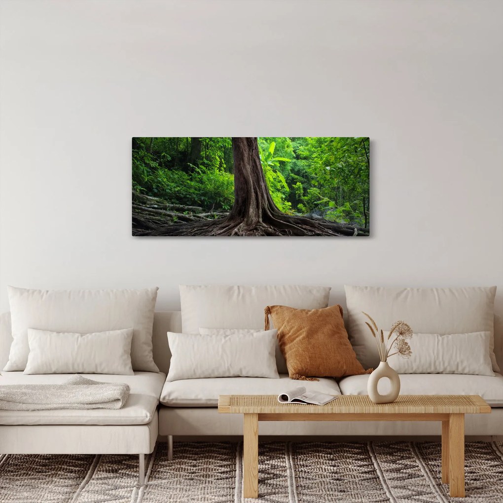 Kép - Öreg fa gyökere (120x50 cm)