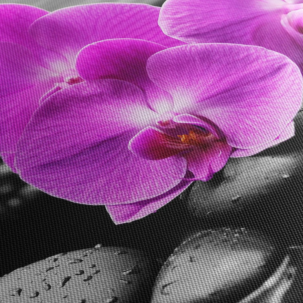 Kép - Lila orchideák (órával) (90x30 cm)