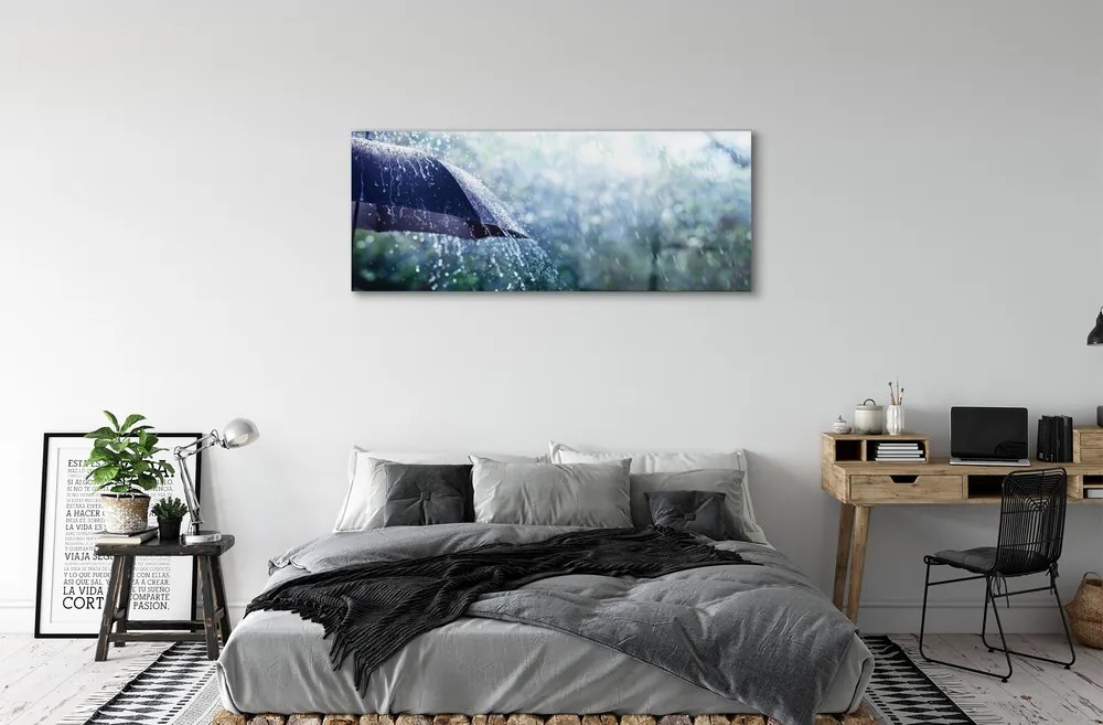 Akrilkép Esernyő eső esik 100x50 cm