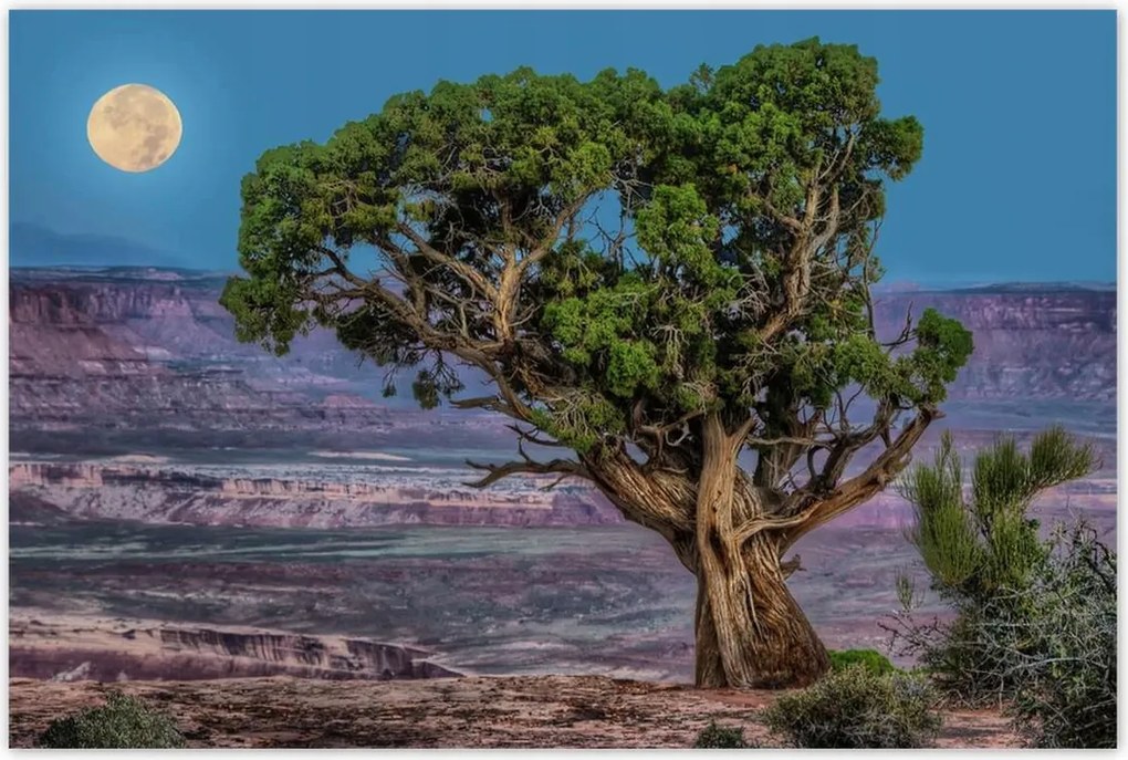 Poszterek 120x80 Kilátás Tájkép