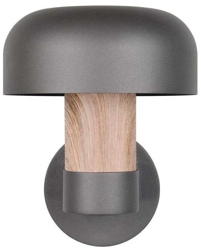 Fali kültéri lámpa (magasság 24,5 cm) Fraser – Trio