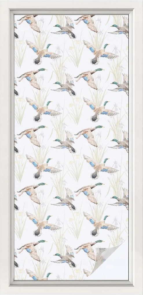 Ablakfólia Konyha Fürdőszoba Védelem Adatvédelem Madarak Természet 50x116