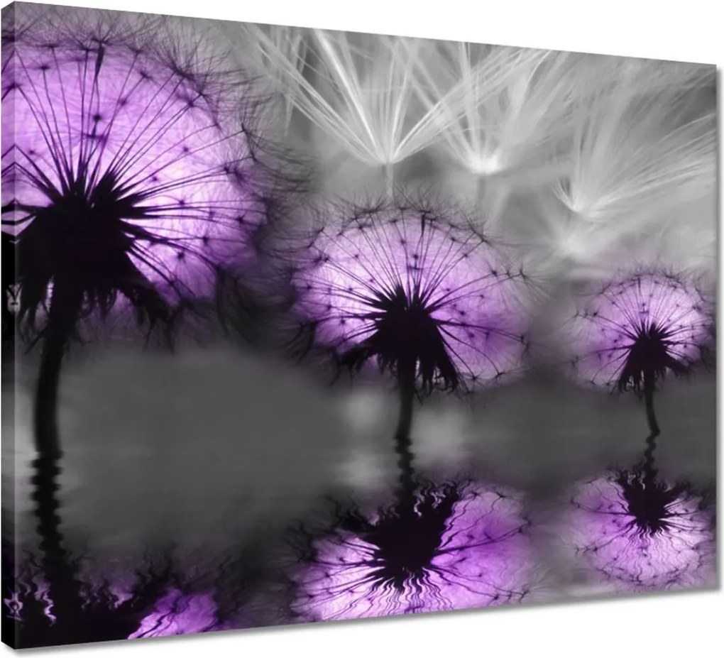 Vászonkép 50x40 Tükröződés a vízben Sárkányok