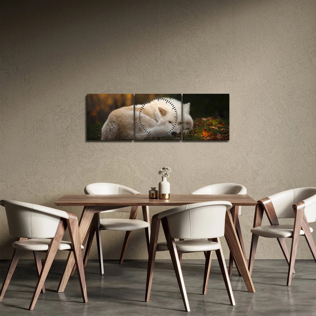 Kép - Pihenő farkas (órával) (90x30 cm)
