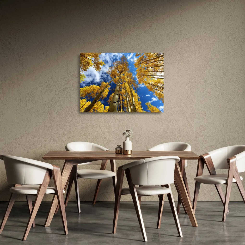 Üveg kép - Aspen (70x50 cm)