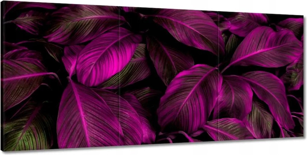 Festmények 210x100 Gyönyörű fukszia levelek
