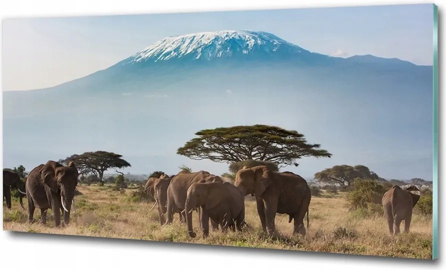 Fotó-üvegkép Elefántok Kilimandzsáró 125x50