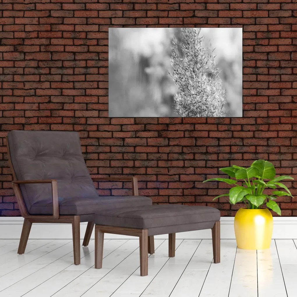 Kép - Boho pampafű (90x60 cm)