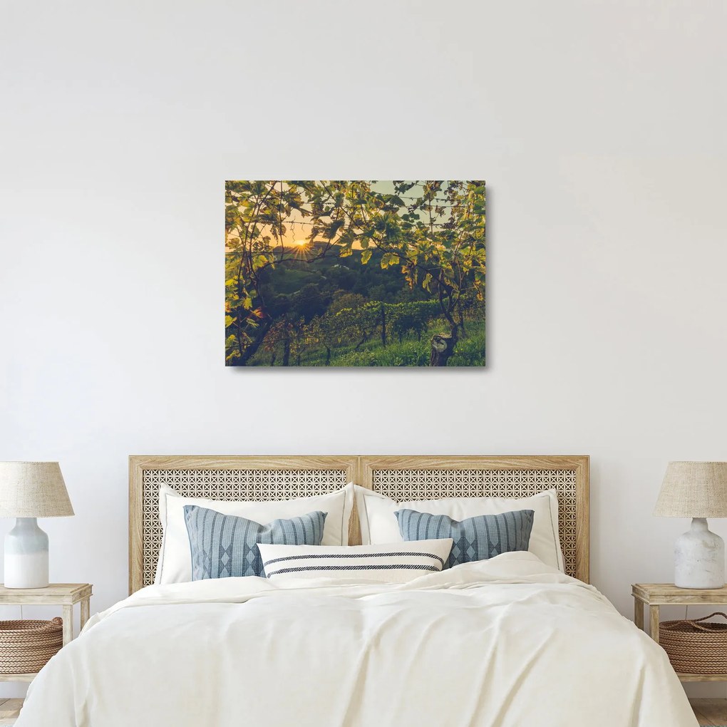 Kép - szőlőültetvény (üvegen) (70x50 cm)