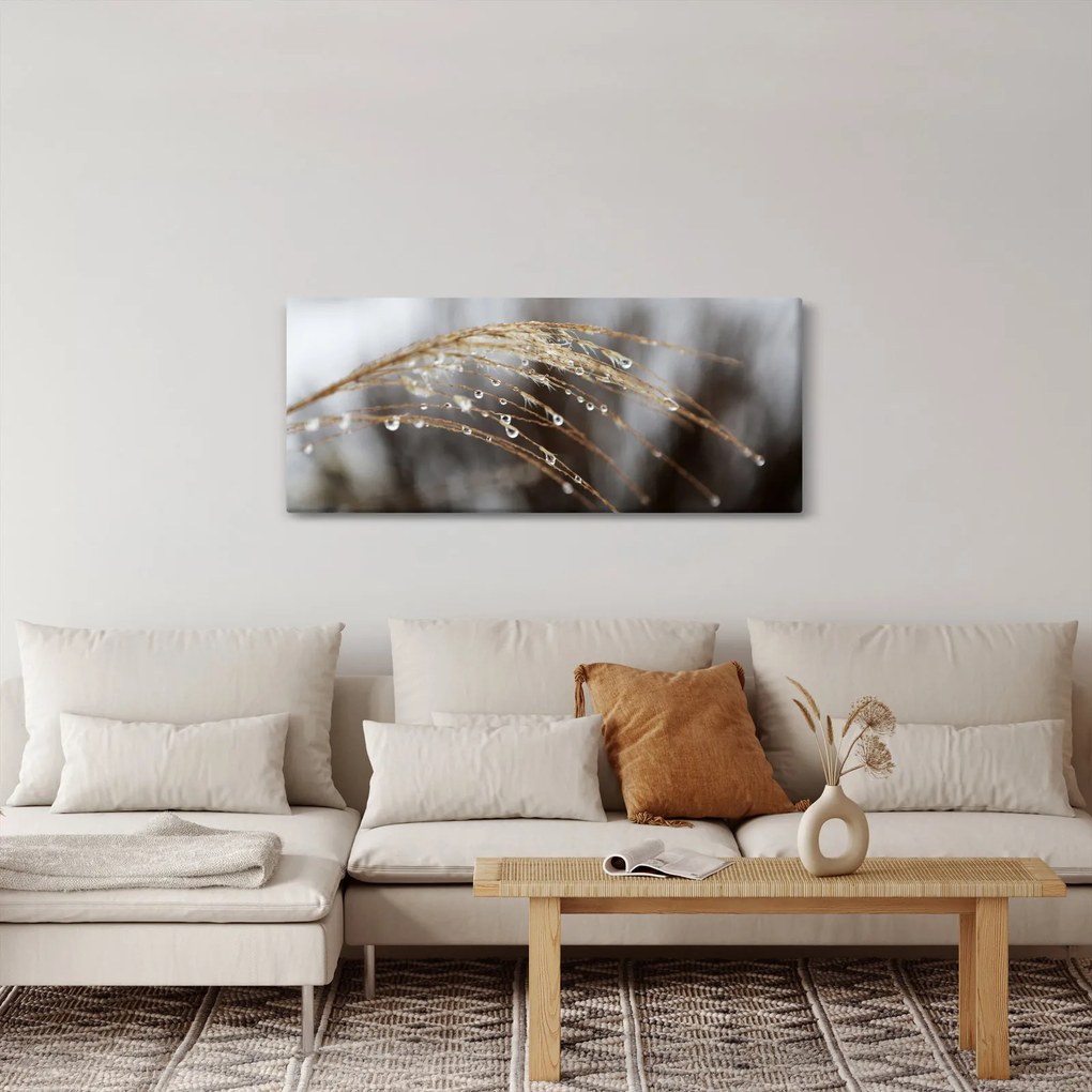Cseppkép egy növényen (120x50 cm)