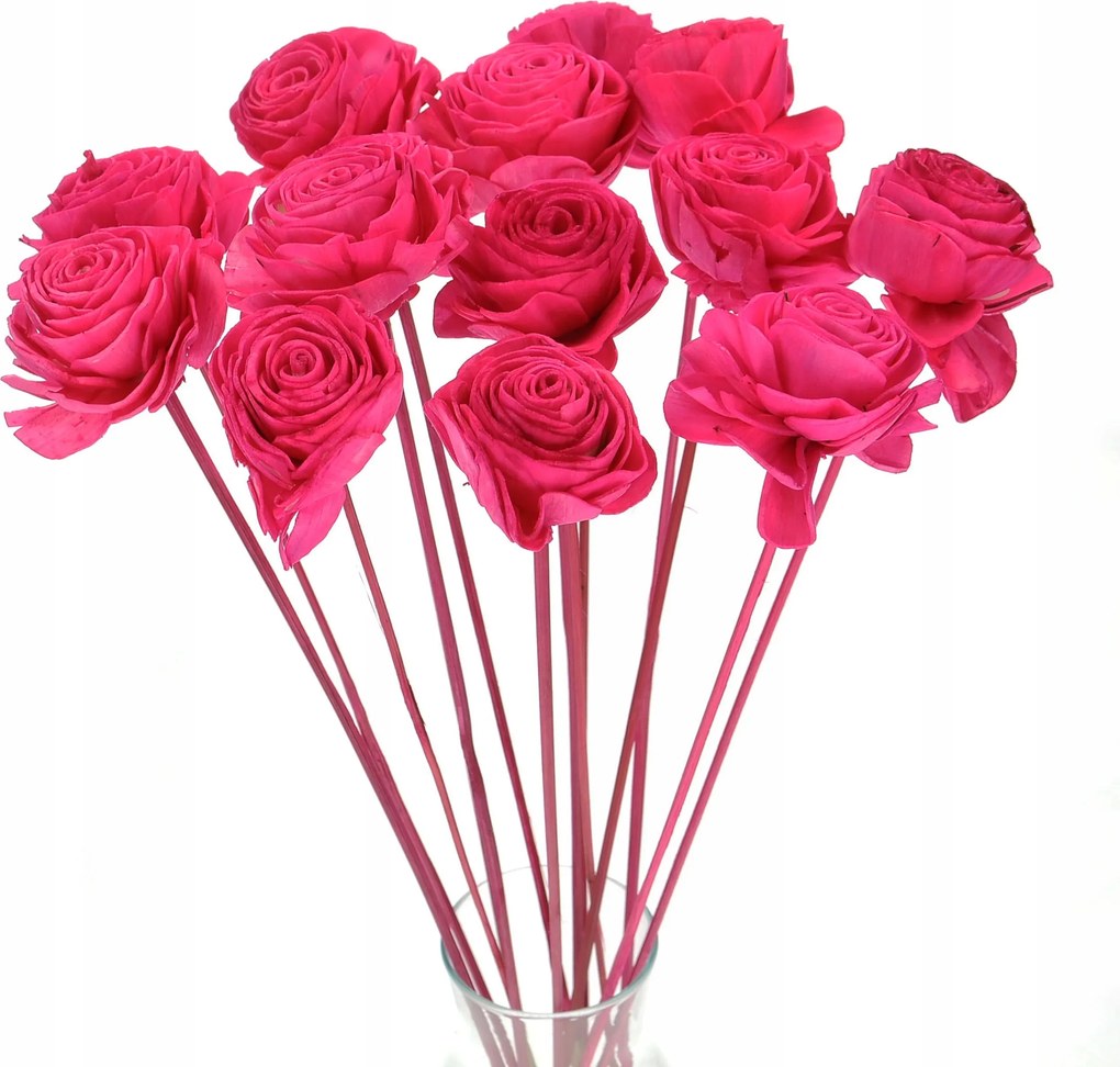 Virág Shola rózsa fukszia a csúcson szárított virágok szárított egzotikus dekoráció