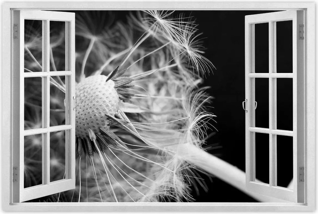 Poszterek 90x60 Pitypang Virág Virágok