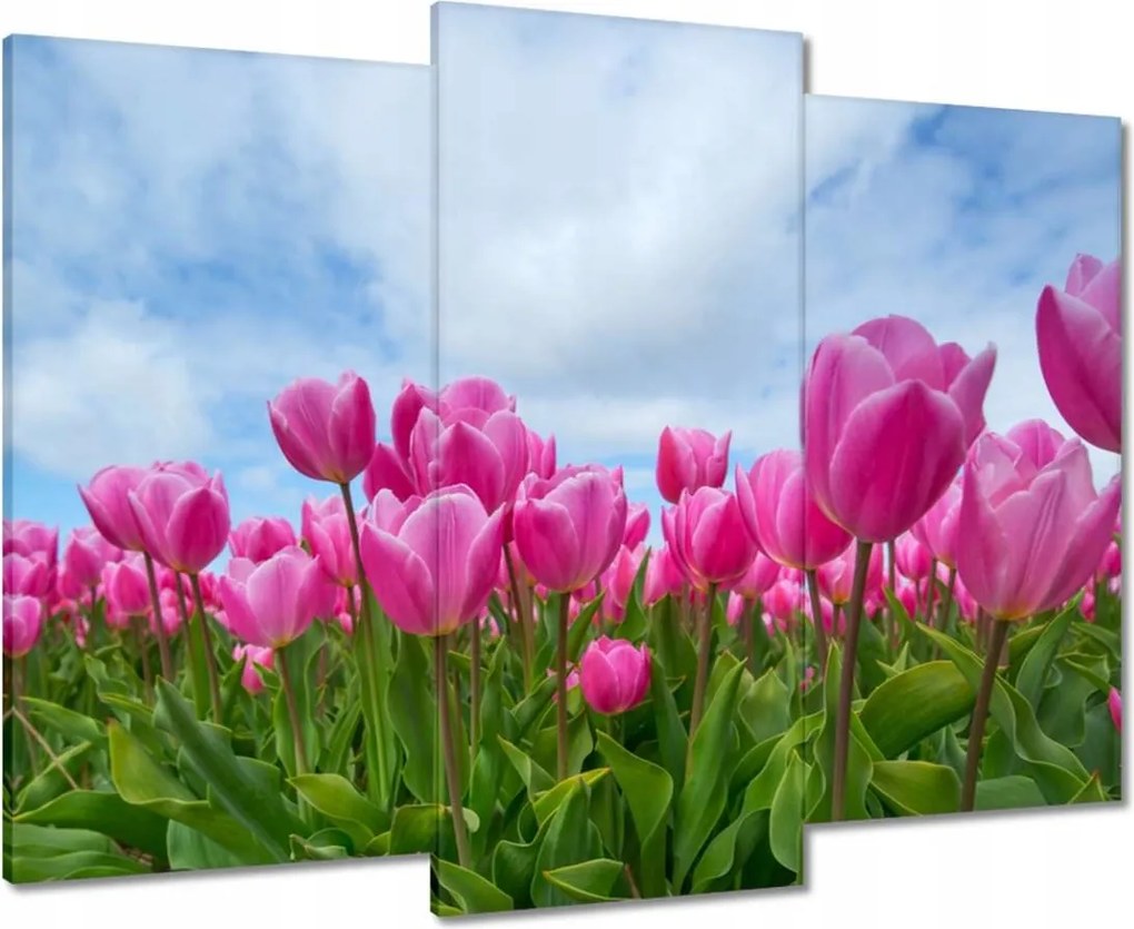 Vászonkép 90x70 Tulipánok Valentin napra