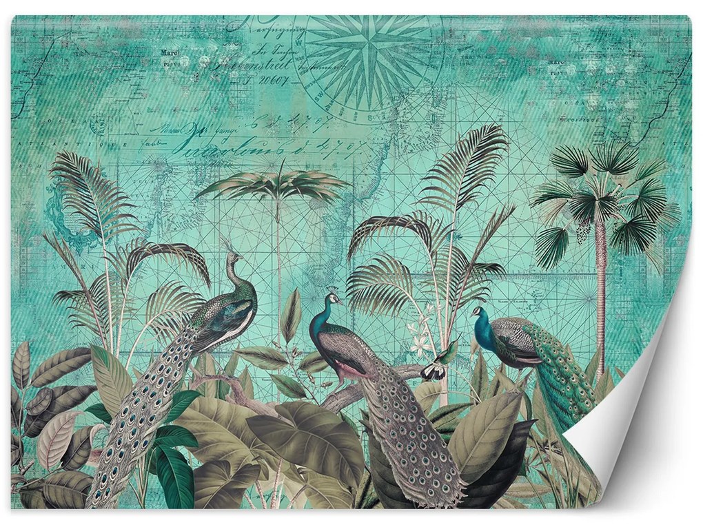 Gario Fotótapéta Türkizkék pávak levelekben - Andrea Haase Anyag: Vlies, Méret: 100 x 70 cm