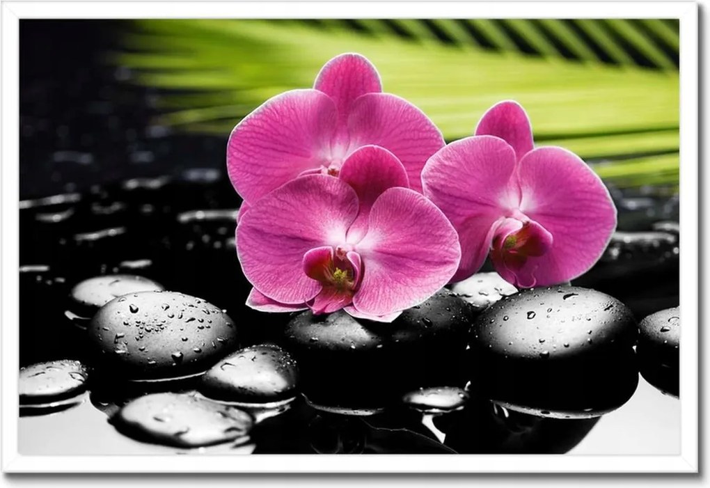 Poszterek keretben 60x40 Spa Kövek és leanderek