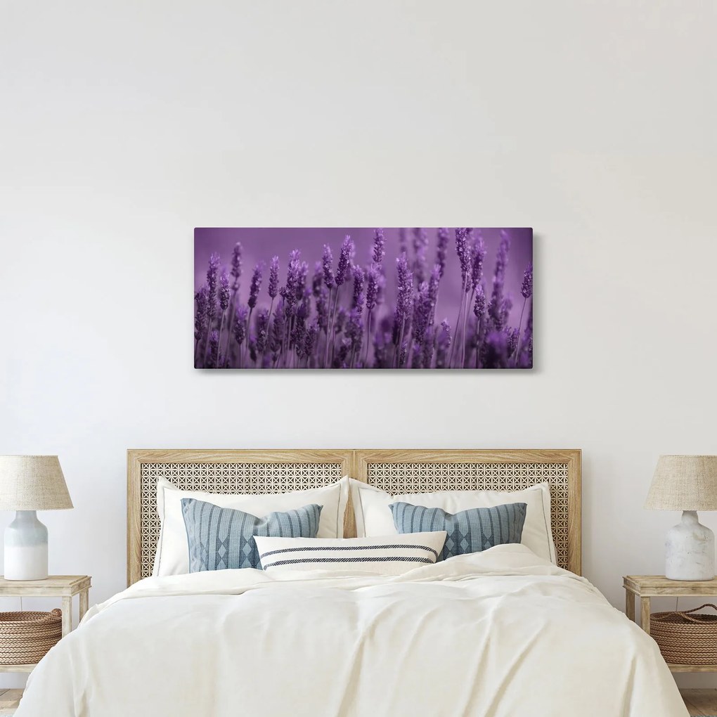 Kép - Levendula (120x50 cm)