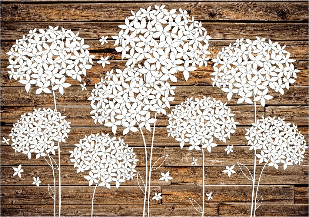 Flizelin fotótapéta Fehér virágok a fán minimalizmus 350x250 +ragasztó