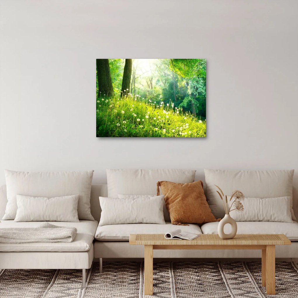 Kép - Varázslatos rét tele pitypanggal (70x50 cm)