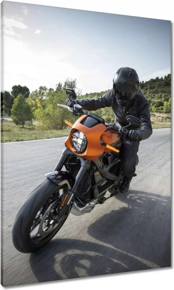 Vászonkép 70x100 Harley Davidson Motorkerékpár