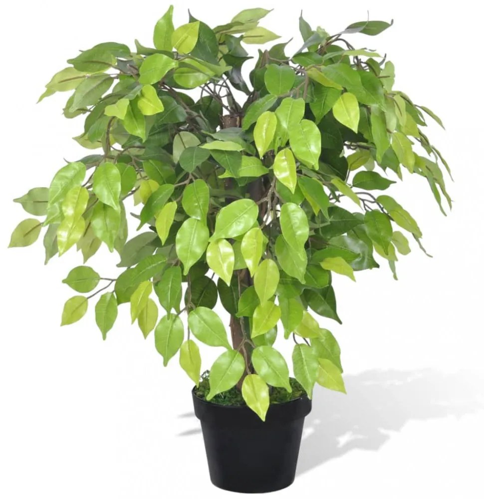 Mesterséges Törpe Fikusz Edény 60 cm