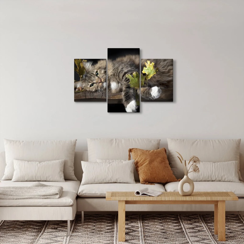 Kép - Hazudós macska (90x60 cm)