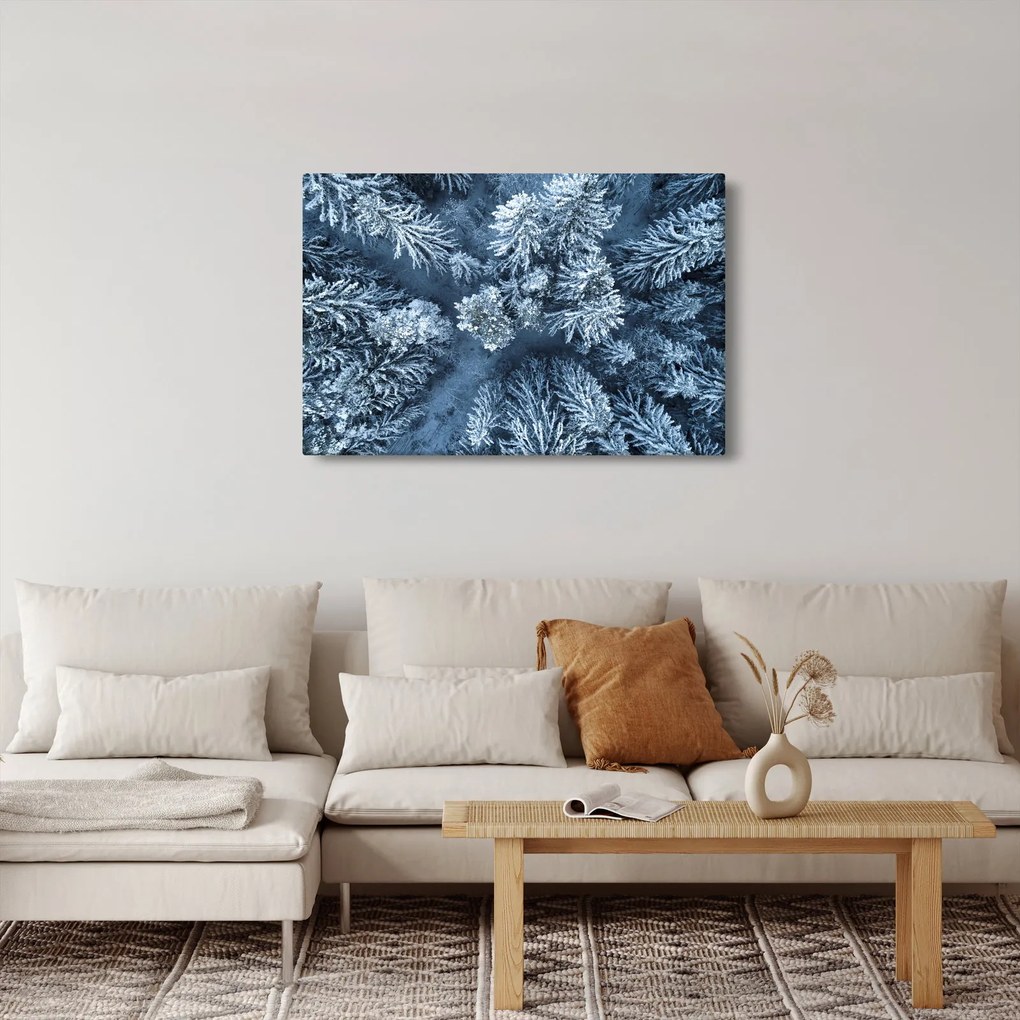 Kép - Havas erdő (90x60 cm)