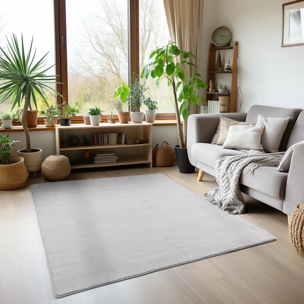 Világosszürke mosható szőnyeg 200x290 cm Sky – Ayyildiz Carpets