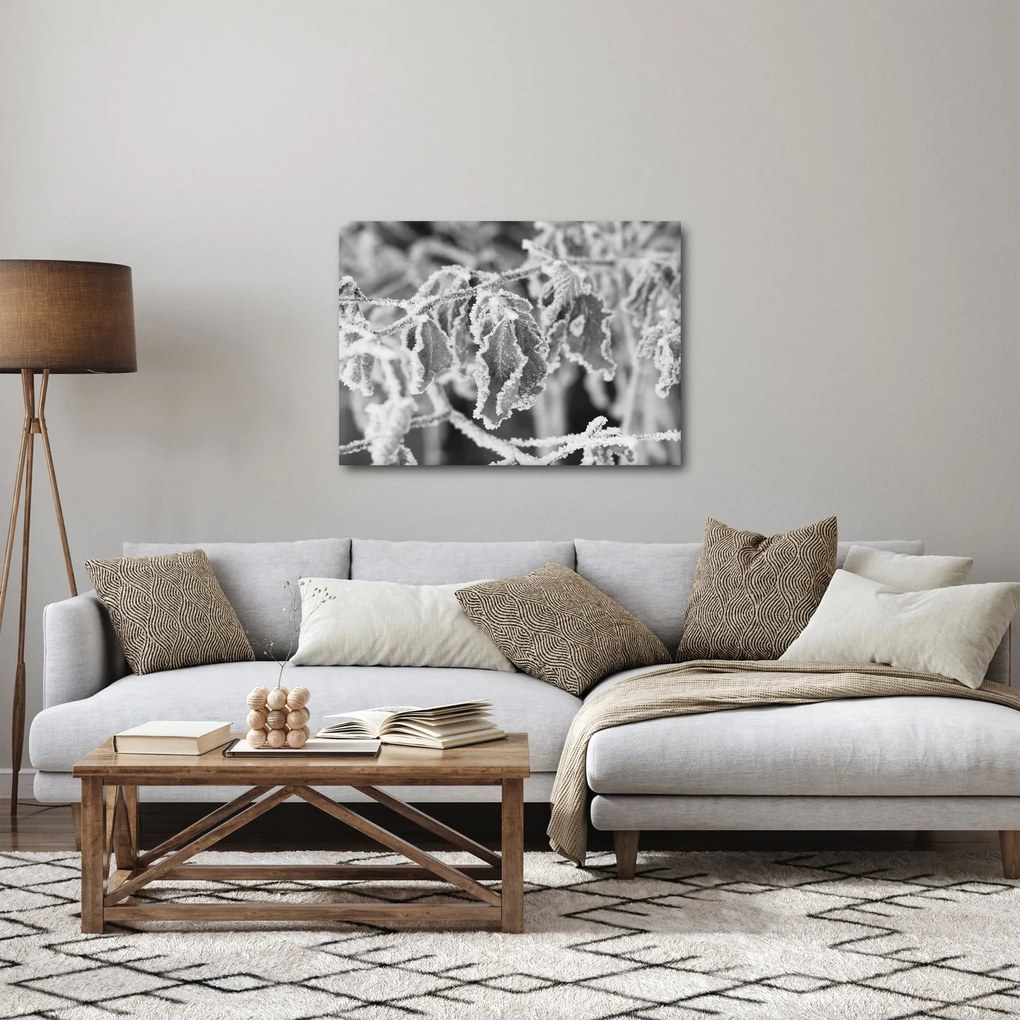 Kép - Fagyott levelek, fekete-fehér (70x50 cm)