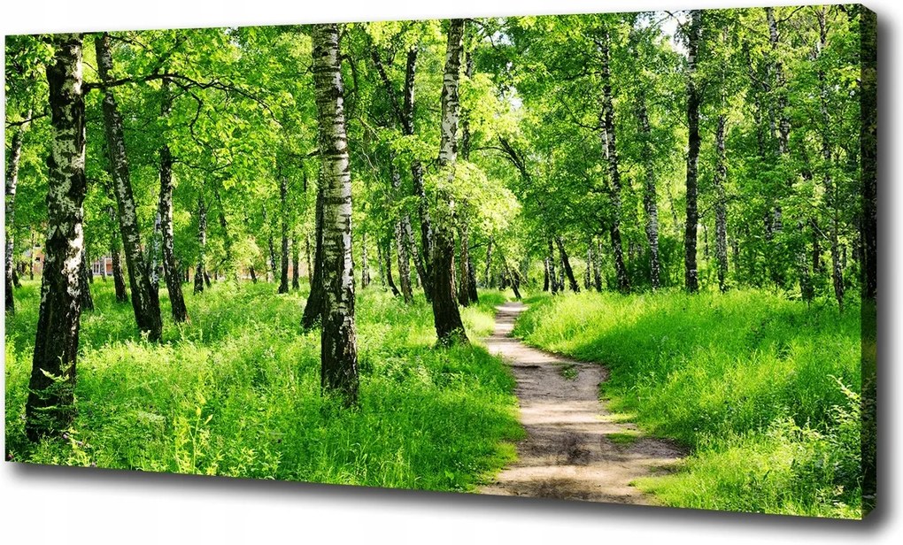 Nagyméretű vászonkép Nyírerdő 100x70 cm