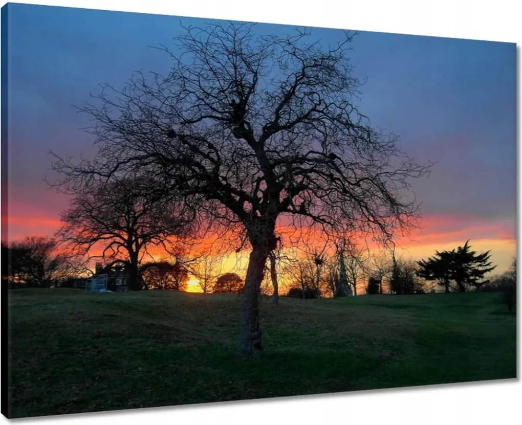 Vászonkép 70x50 Naplemente