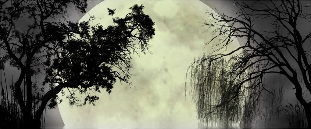 Kép - Telihold a felszín felett, fekete-fehér változat (120x50 cm)