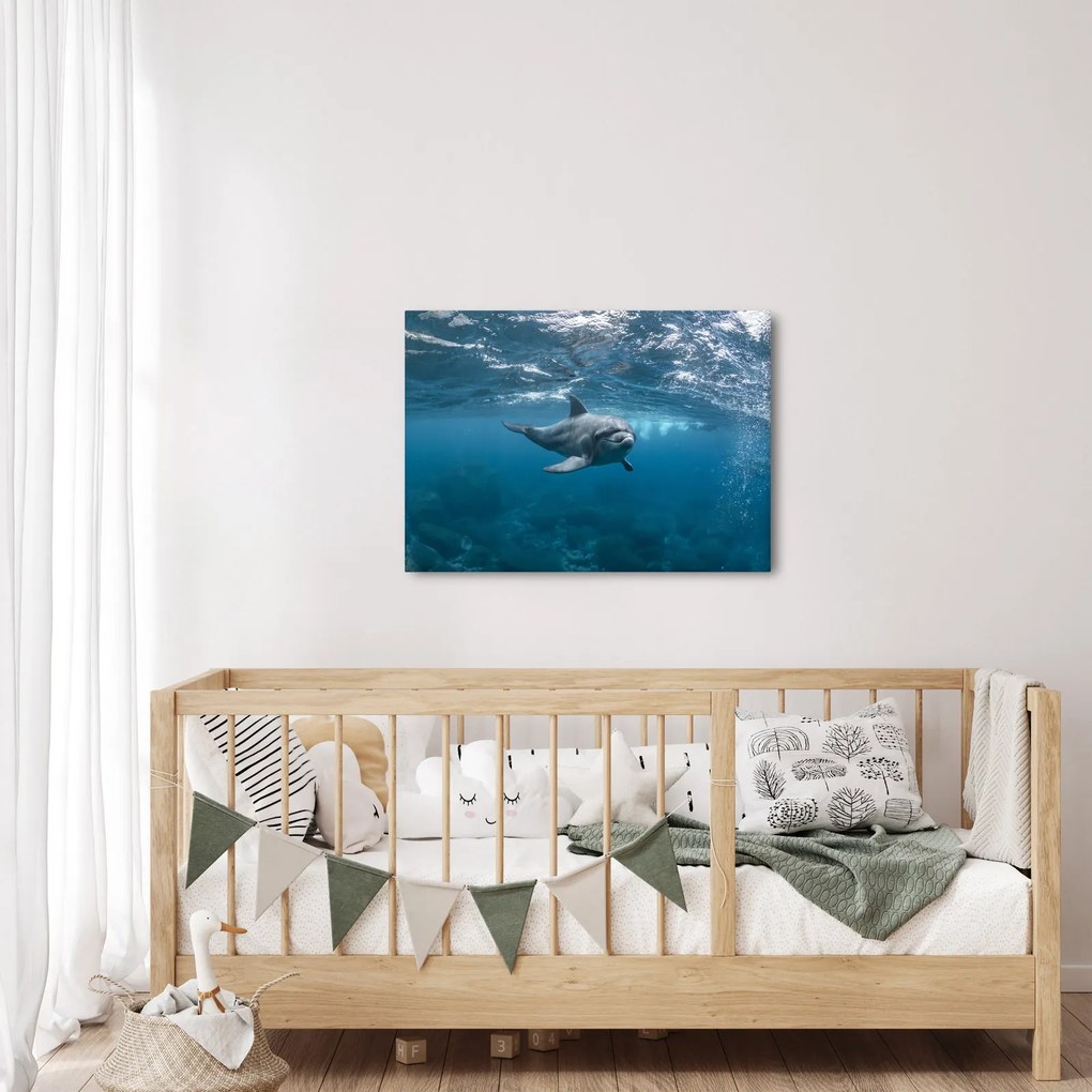 Kép - Delfin a felszín alatt (70x50 cm)