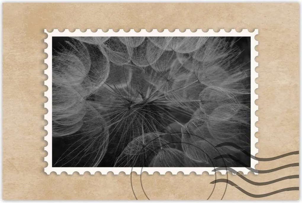 Poszterek 60x40 Pitypang Virág Virágok