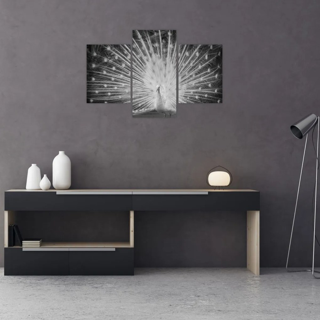 Kép - Fehér páva (90x60 cm)