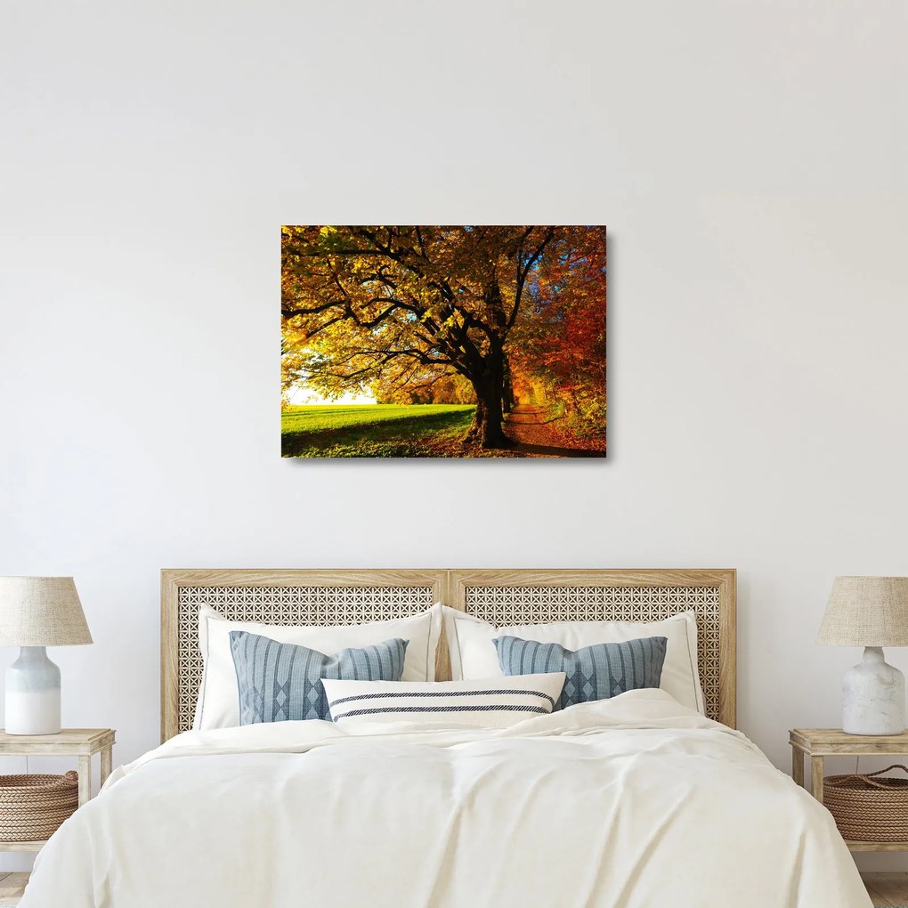 Egy őszi fa képe (üvegen) (70x50 cm)