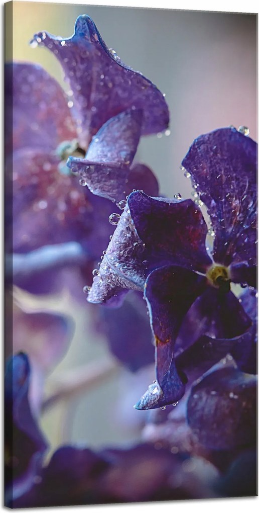 Botanika indigó orchidea vászonkép 40x80 cm