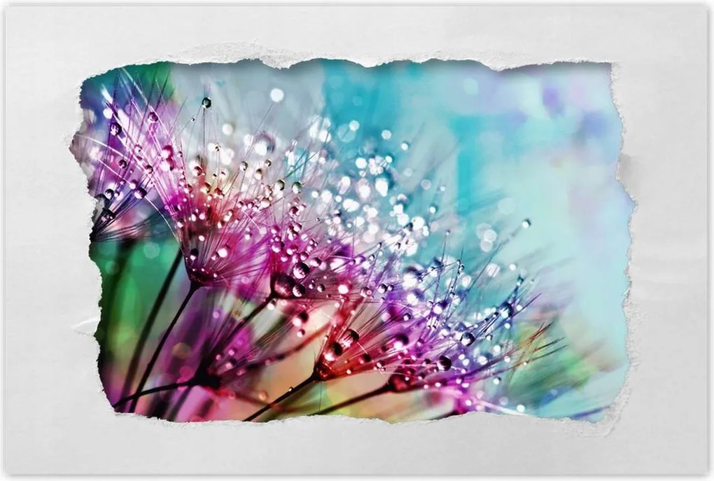 Poszterek 90x60 Harmatcseppek Pitypang