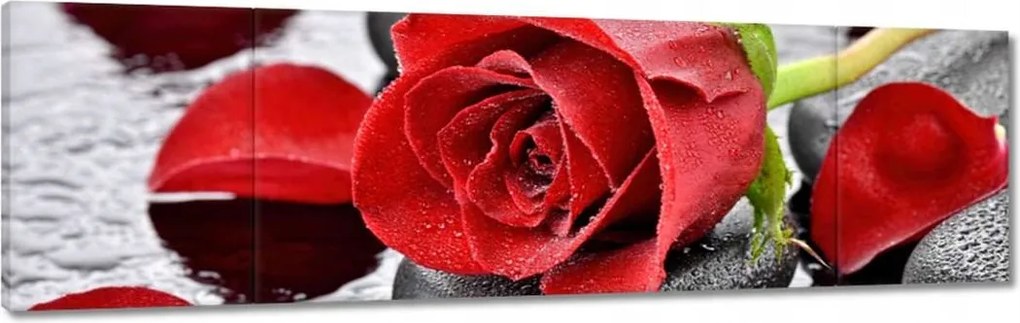 Vászonkép 170x50 Vörös rózsa Neki