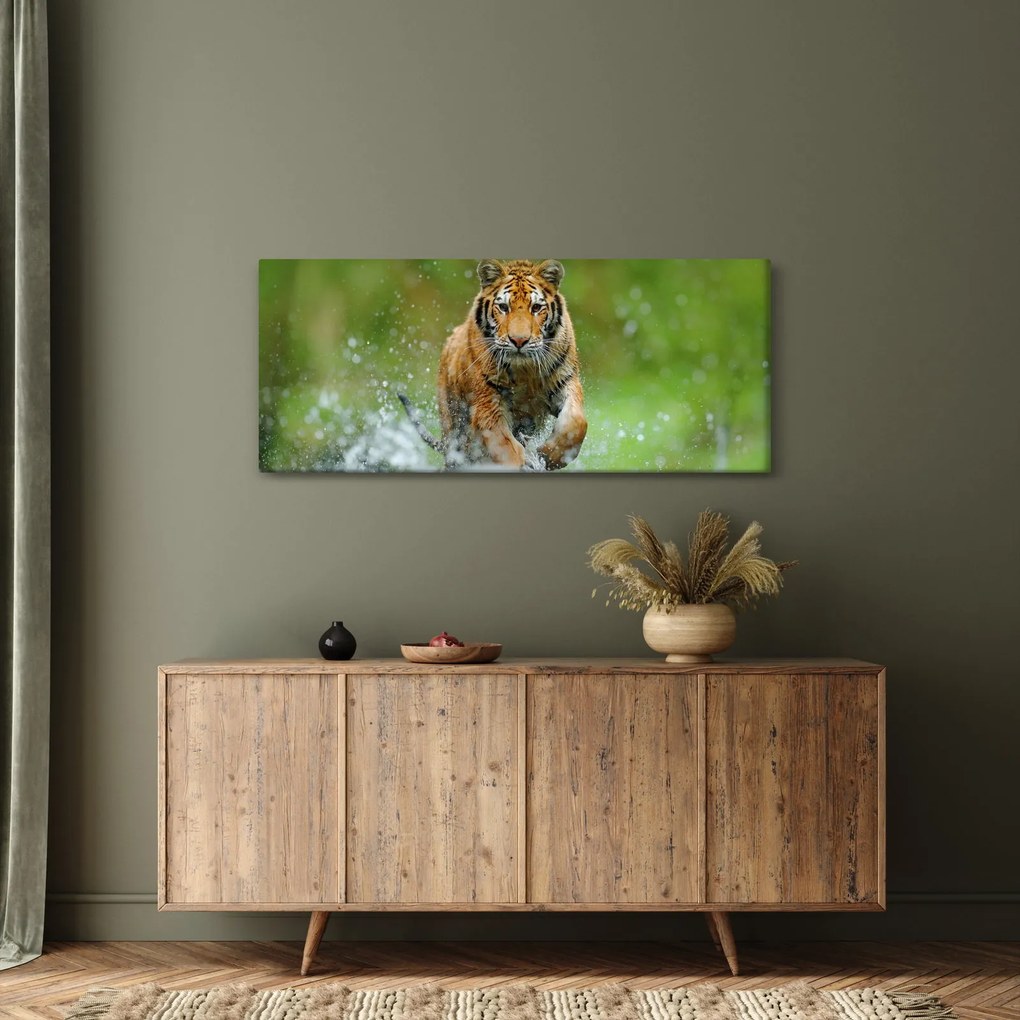 Kép - Futó tigris (120x50 cm)