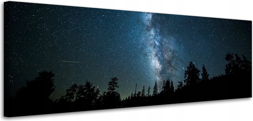 Vászonkép Kozmosz Éjszaka Erdő Köd Természet Csillagászat 120x40